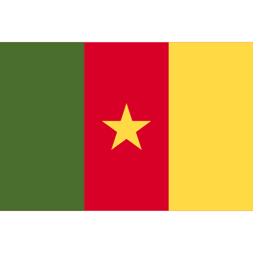 Douala, Cameroon Flag