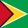 Guyana flag